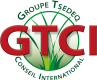 logo-file-GTCI