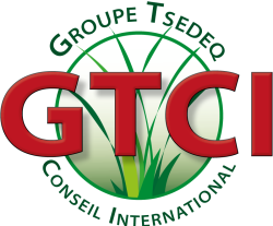 logo-file-GTCI